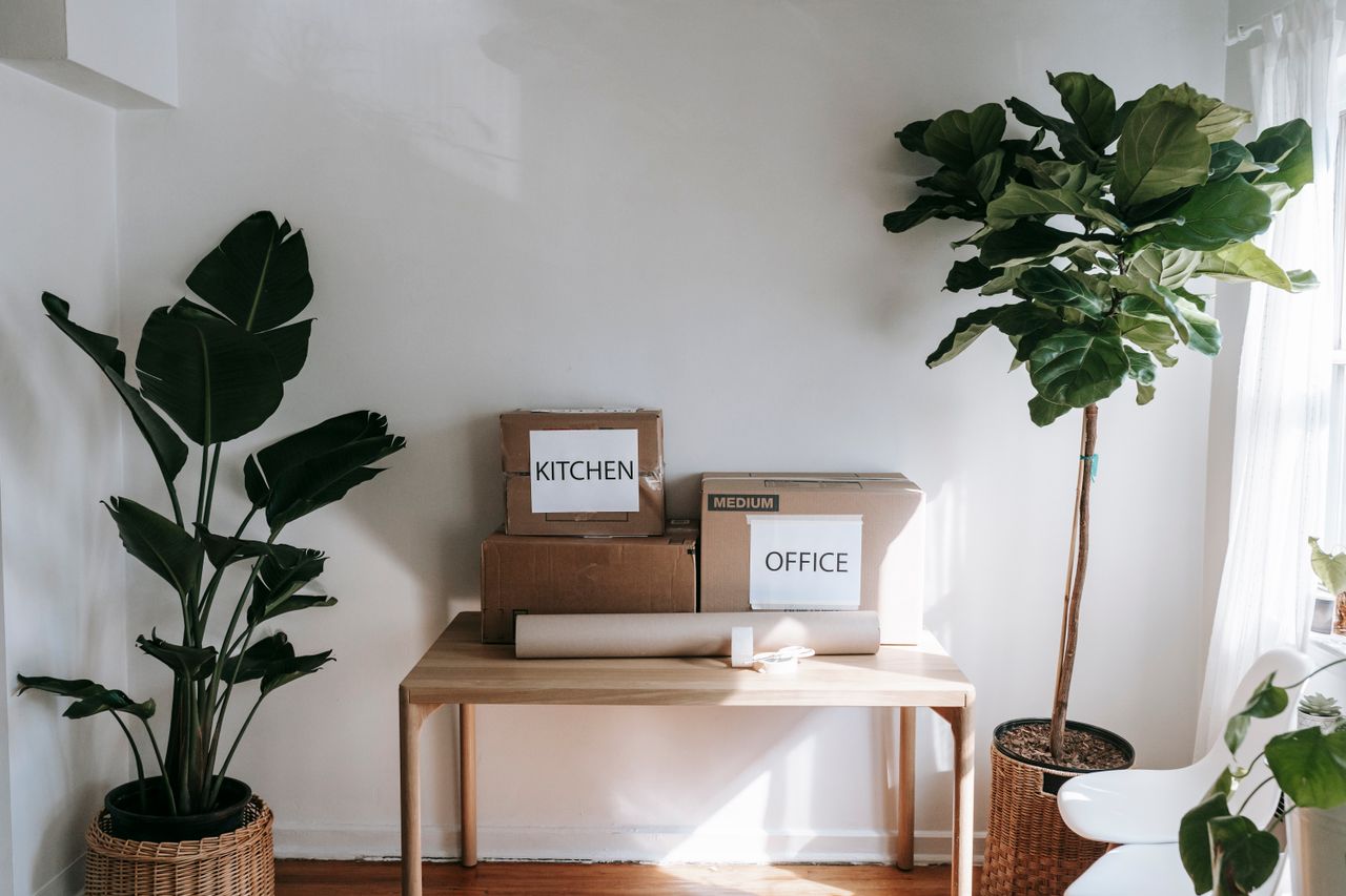 services-01 Elegant interior featuring moving boxes marked Kitchen and Office on a wooden table, with houseplants all around.